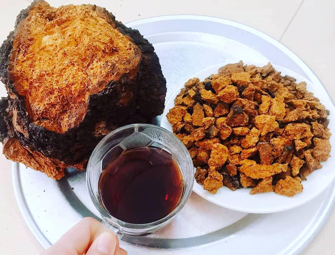 俄罗斯桦树茸多少钱一斤_2025年价格