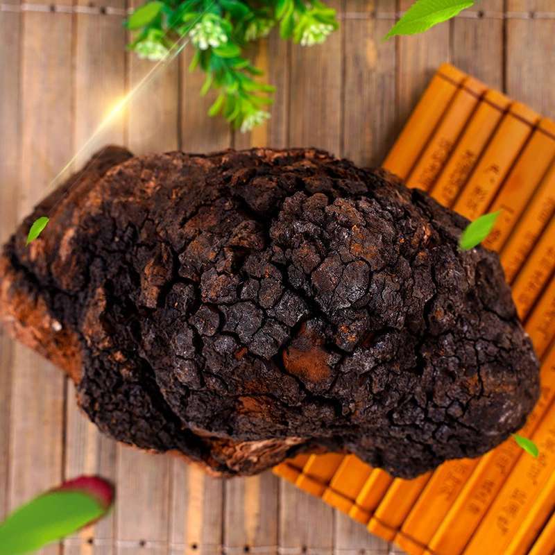 桦树茸的热度为何持续攀升？理性看待其健康定位