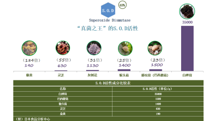 白桦茸精粉