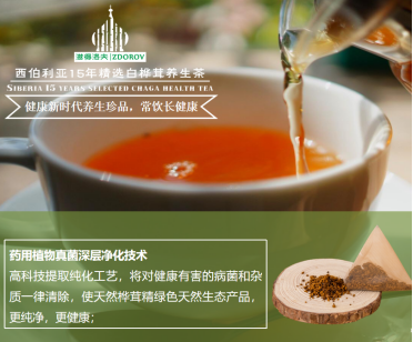 精选白桦茸养生茶