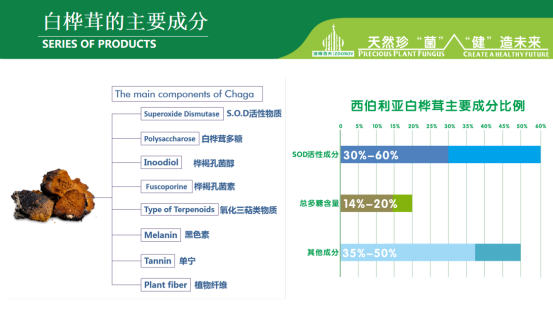 白桦茸的主要成分