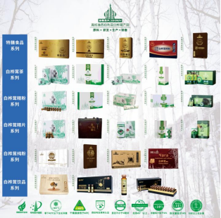 白桦茸 白桦茸