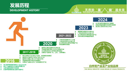 发展历程
