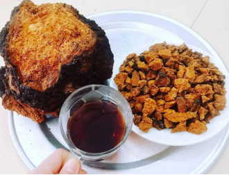 白桦茸茶