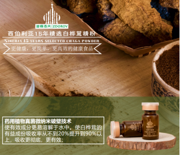 ‌熬夜自救指南：白桦茸如何成为“活力重启键”