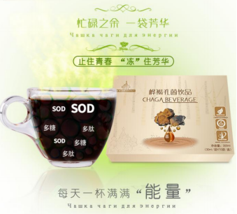桦褐孔菌饮品