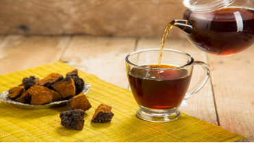 白桦茸茶